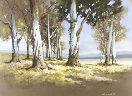 Paintings Marc Poisson Blue gum trees Magnificent